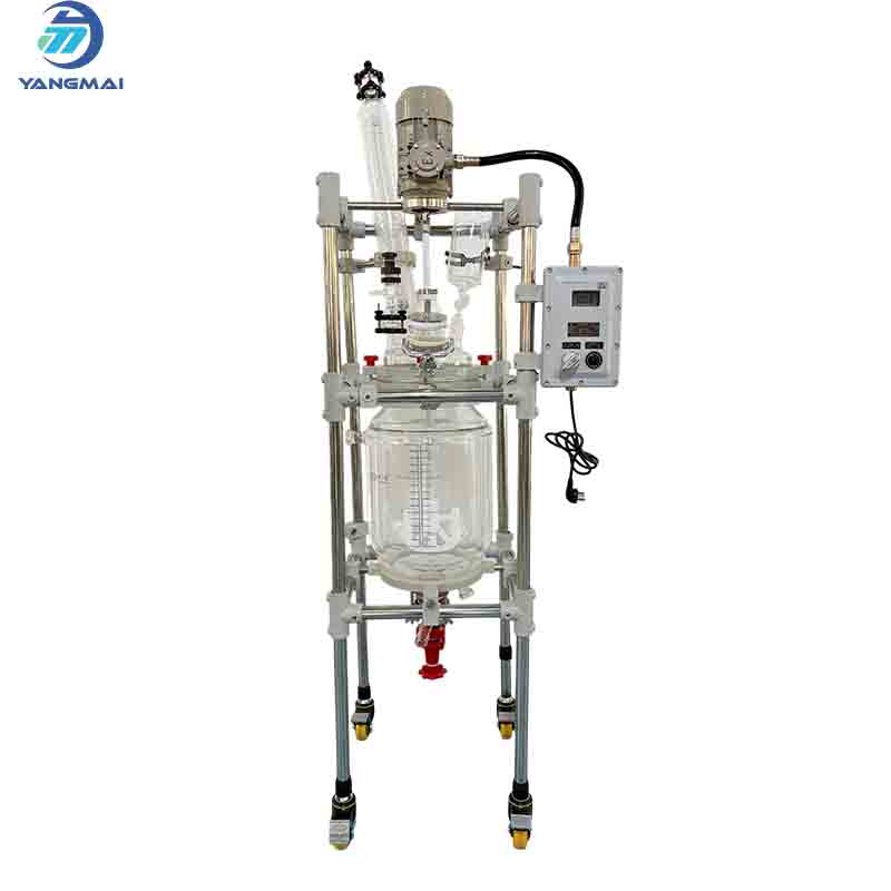 20L Glass Reactor for Chemical Reactions