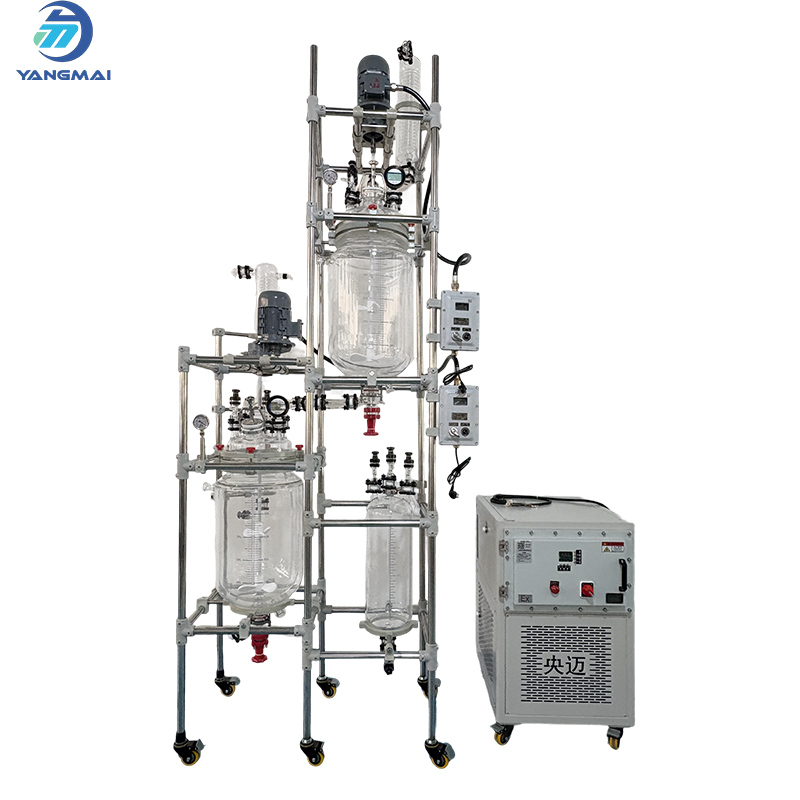 Glass Reactor with Heating Cooling Circulator