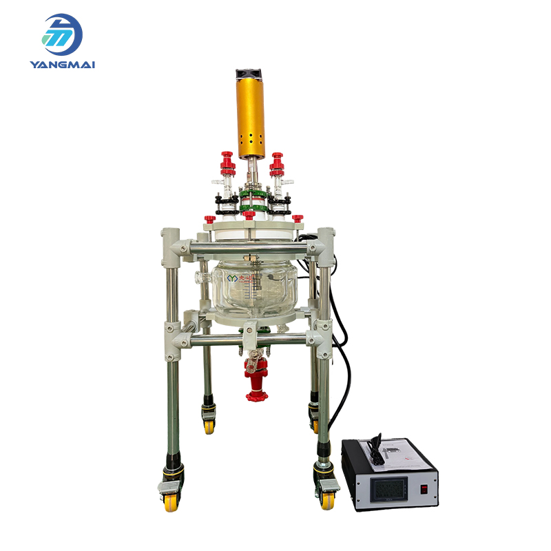 3L Glass Reactor with Ultrasonic Cell Disruptor